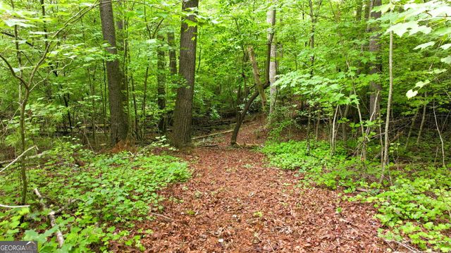 575 Hidden Valley Drive, Demorest, GA 30535