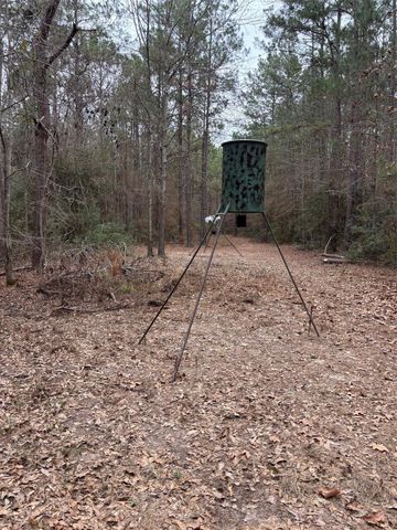 000 Cr 4120, Crockett, TX 75835