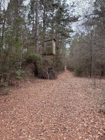 000 Cr 4120, Crockett, TX 75835