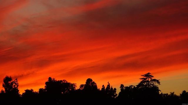 2557 Live Oak Park Rd, Fallbrook, CA 92028