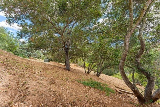 2557 Live Oak Park Rd, Fallbrook, CA 92028