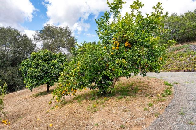 2557 Live Oak Park Rd, Fallbrook, CA 92028