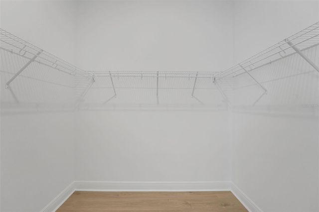 14377 CREST PALM AVENUE, Windermere, FL 34786