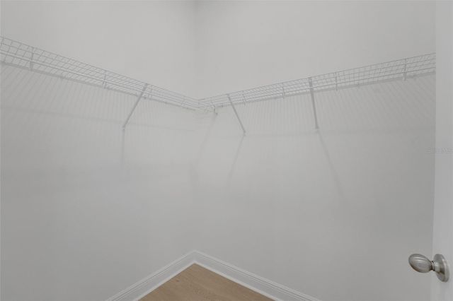 14377 CREST PALM AVENUE, Windermere, FL 34786