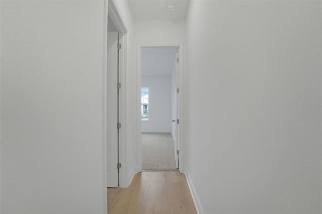 14377 CREST PALM AVENUE, Windermere, FL 34786