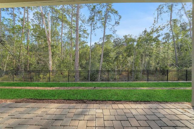 14377 CREST PALM AVENUE, Windermere, FL 34786