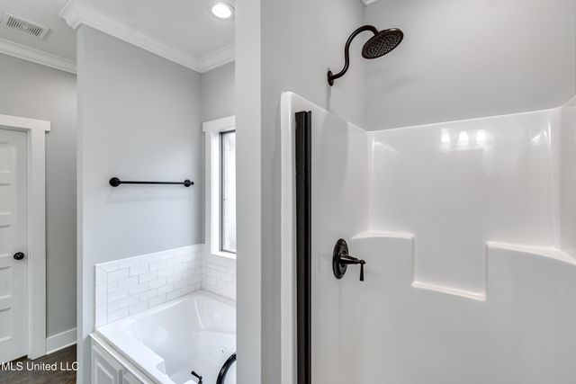 810 Emmas Way, Brandon, MS 39042