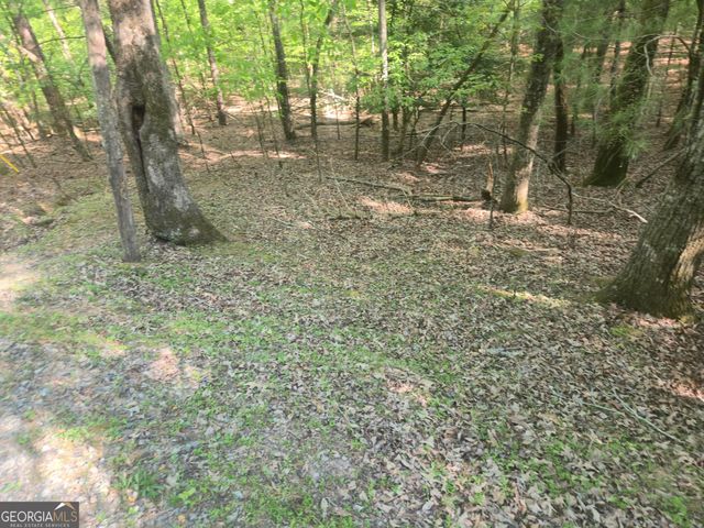 0 Hart Court, Ellijay, GA 30540