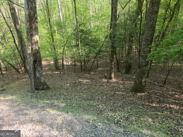 0 Hart Court, Ellijay, GA 30540