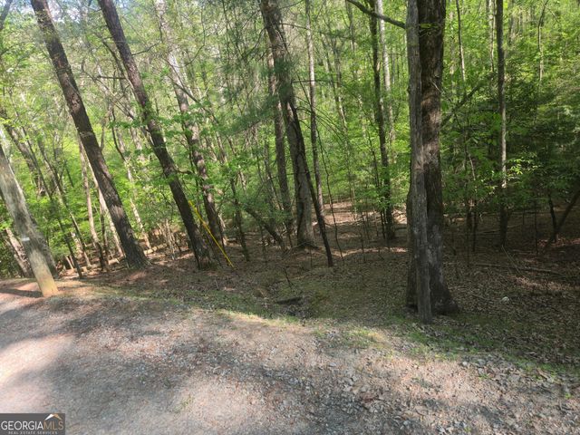 0 Hart Court, Ellijay, GA 30540