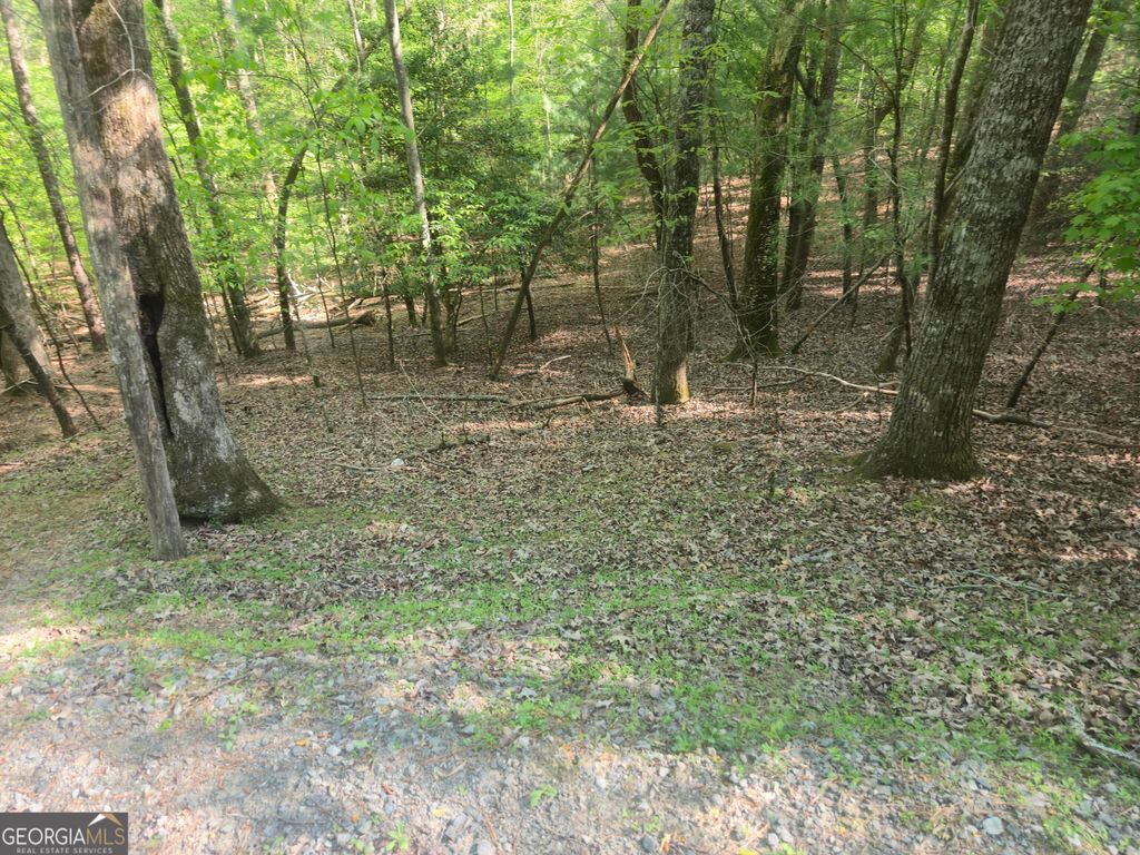 0 Hart Court, Ellijay, GA 30540