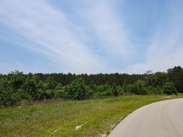 16089 Forest Mill Road, Willis, TX 77378