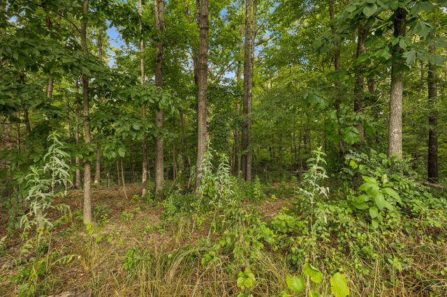 1324 Elliot Rd, Nunnelly, TN 37137