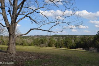 21.61 Ac Hwy 26, Lucedale, MS 39452