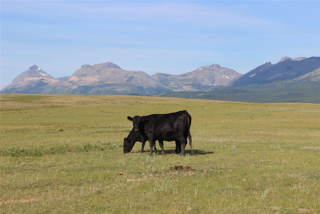 NHN US Hwy 2, East Glacier Park, MT 59434 photo 10