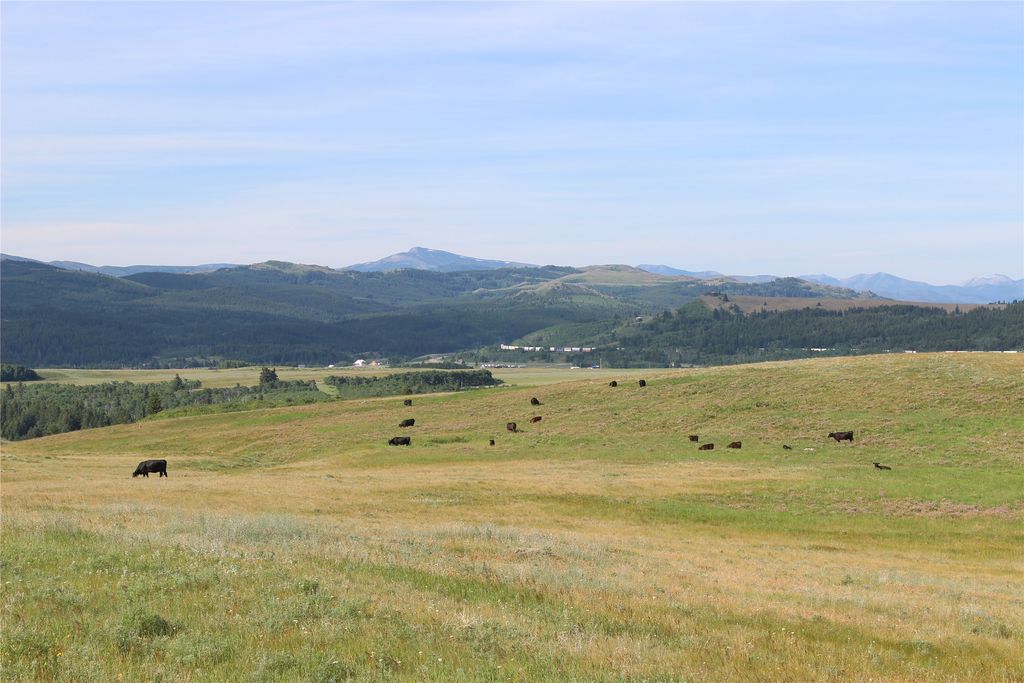 NHN US Hwy 2, East Glacier Park, MT 59434 photo 11