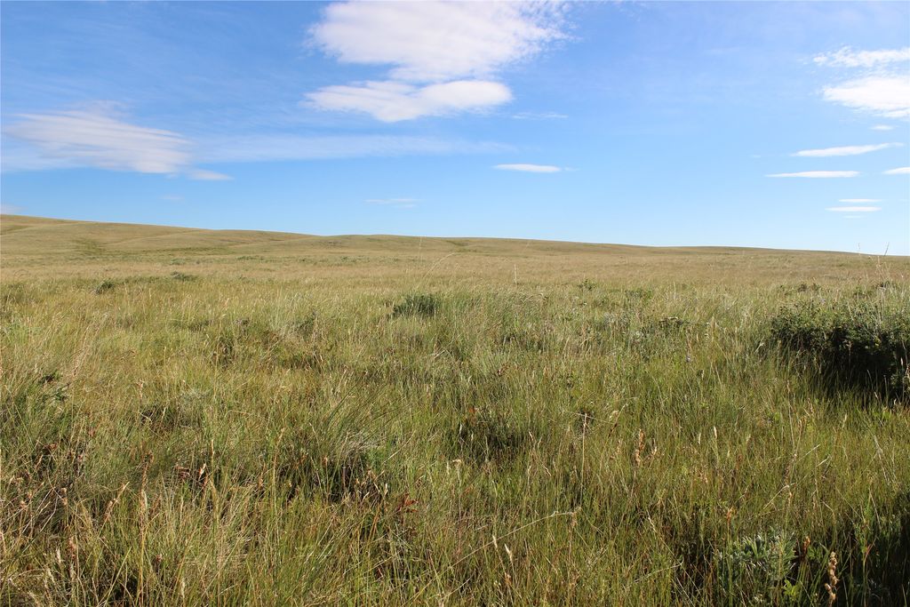 NHN US Hwy 2, East Glacier Park, MT 59434 photo 13