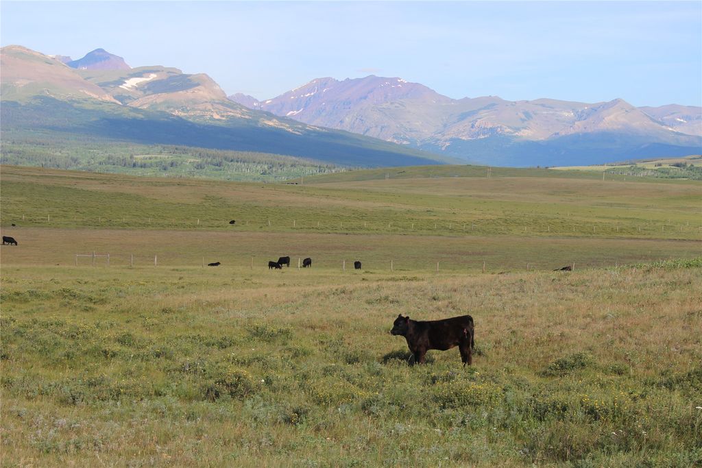 NHN US Hwy 2, East Glacier Park, MT 59434 photo 14