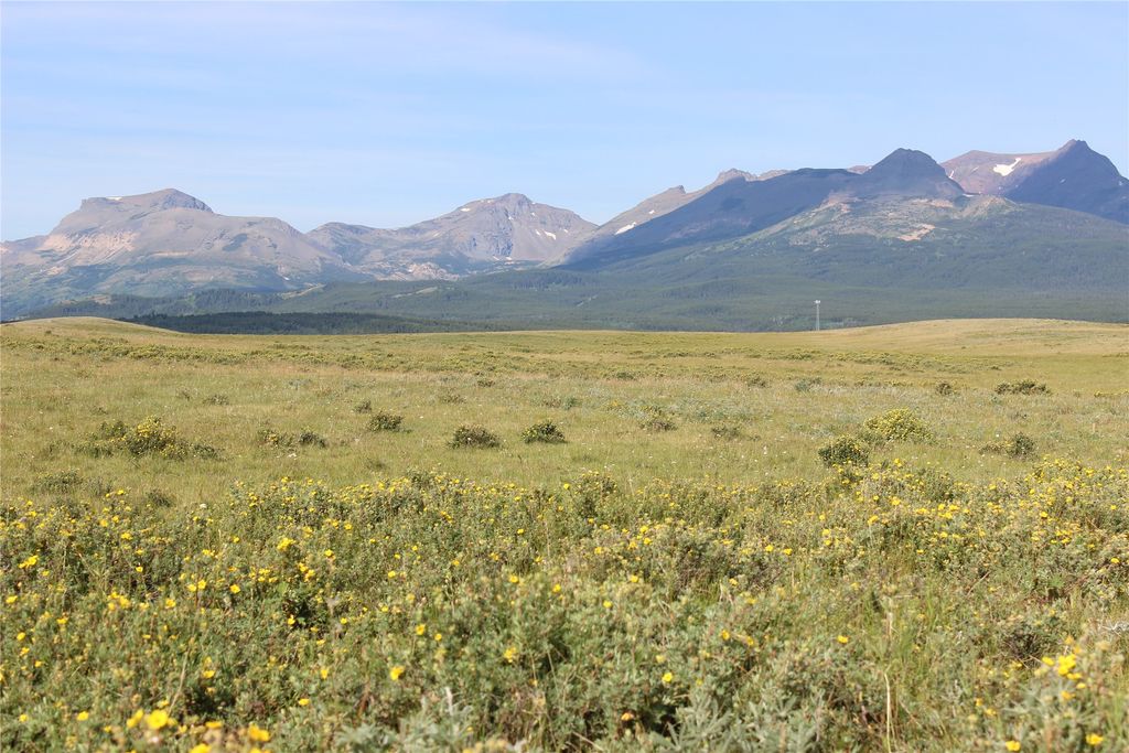 NHN US Hwy 2, East Glacier Park, MT 59434 photo 17