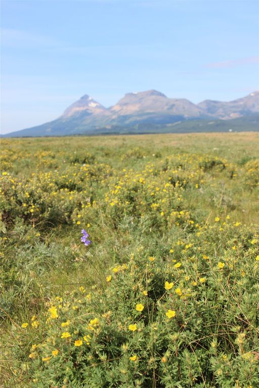 NHN US Hwy 2, East Glacier Park, MT 59434 photo 18