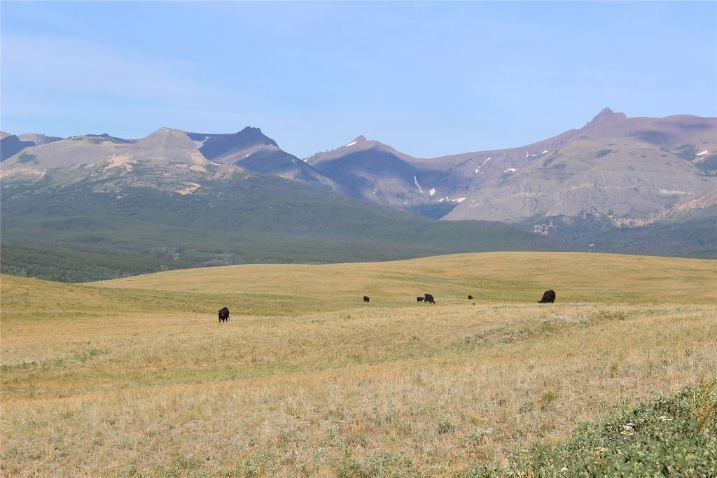 NHN US Hwy 2, East Glacier Park, MT 59434 photo 4
