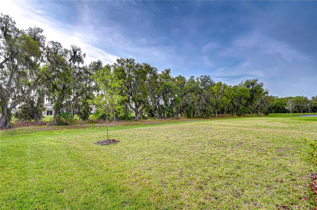 Image 34 of property listing at 14733 GALLOP RUN DRIVE, Lithia, FL 33547