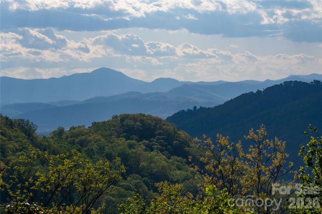 1412 N Bearwallow Road, Fletcher, NC 28732