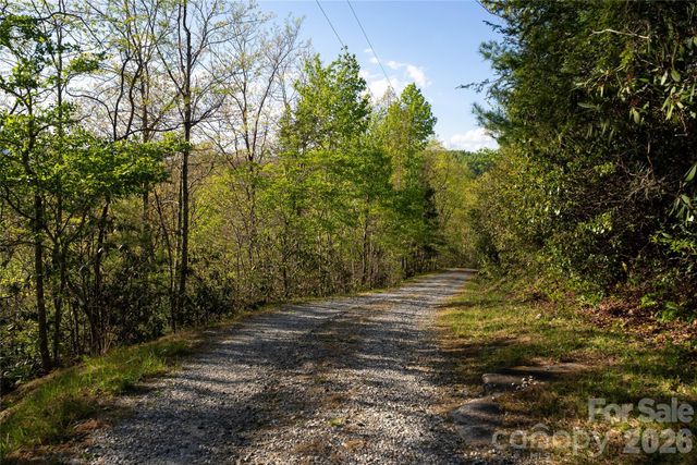 1412 N Bearwallow Road, Fletcher, NC 28732