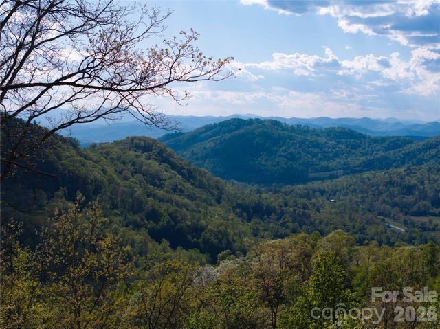1412 N Bearwallow Road, Fletcher, NC 28732