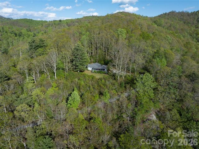 1412 N Bearwallow Road, Fletcher, NC 28732