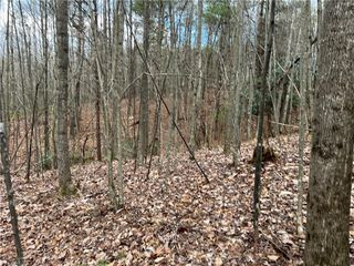 Lot 9 Fisher Valley Road, Dobson, NC 27017