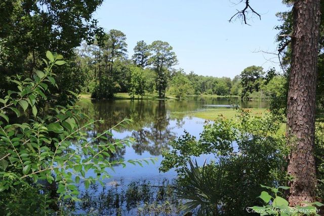1215 Jake Springs Court, Spring, TX 77386