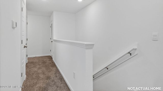 3532 PALOMINO Court, Middleburg, FL 32068