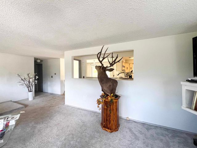 598 N 395 Hwy, Kettle Falls, WA 99141