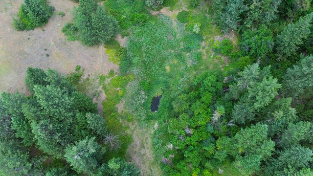 598 N 395 Hwy, Kettle Falls, WA 99141