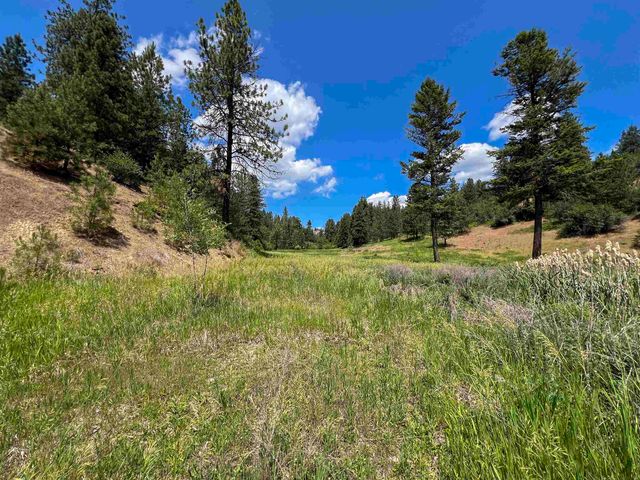 598 N 395 Hwy, Kettle Falls, WA 99141