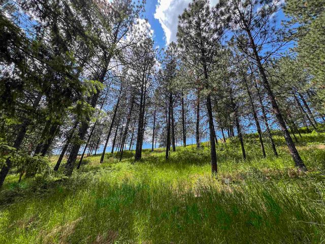 598 N 395 Hwy, Kettle Falls, WA 99141