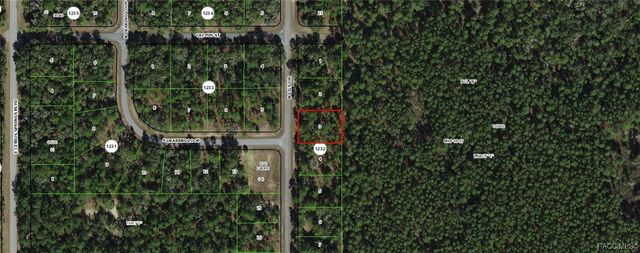 9651 N Lily Drive, Dunnellon, FL 34434