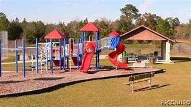 9651 N Lily Drive, Dunnellon, FL 34434