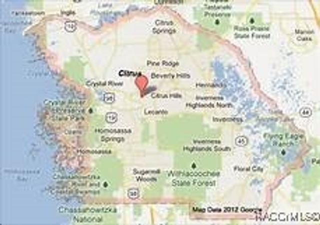 9651 N Lily Drive, Dunnellon, FL 34434