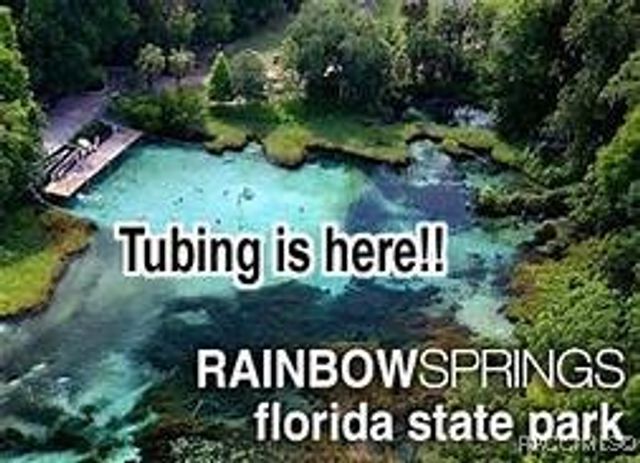 9651 N Lily Drive, Dunnellon, FL 34434