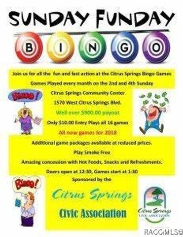 9651 N Lily Drive, Dunnellon, FL 34434