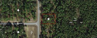 9651 N Lily Drive, Dunnellon, FL 34434