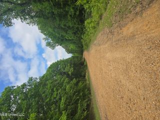 Laughter Road, Hernando, MS 38632