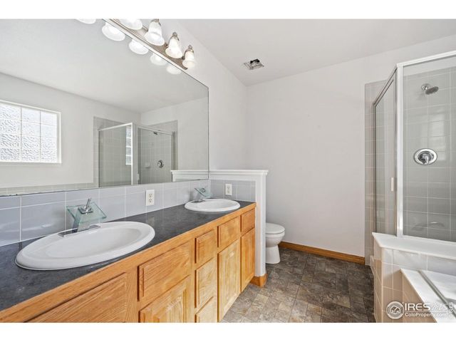 3399 Firewater Ln, Wellington, CO 80549