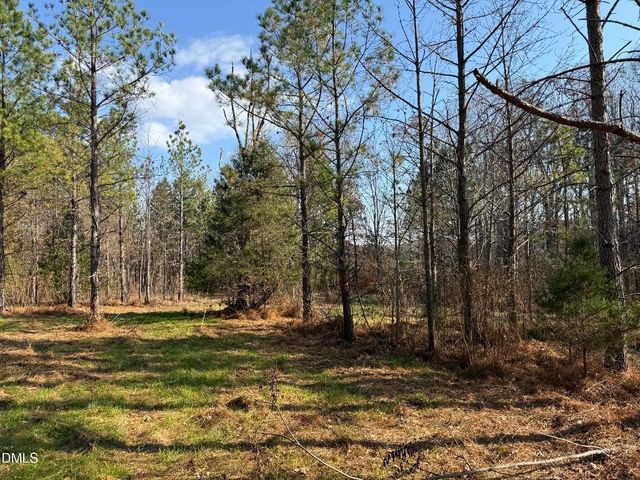 Lot 1 Wolf Tree Way, Efland, NC 27243