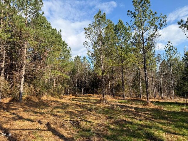 Lot 1 Wolf Tree Way, Efland, NC 27243