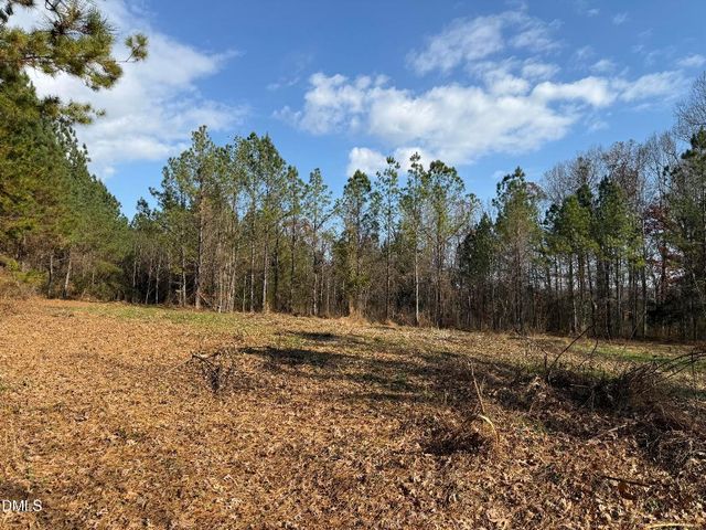 Lot 1 Wolf Tree Way, Efland, NC 27243