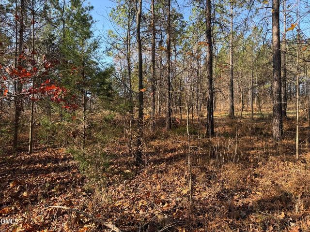Lot 1 Wolf Tree Way, Efland, NC 27243