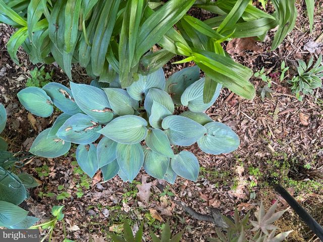 12495 MANCHESTER WAY, Woodbridge, VA 22192